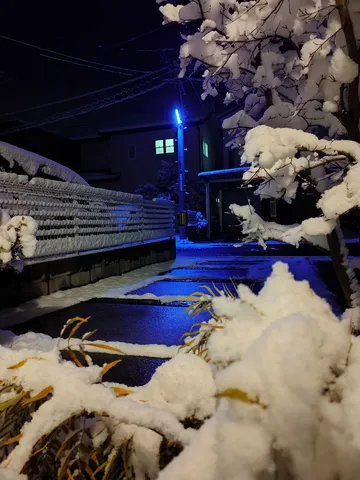 青い灯と雪の夜道
