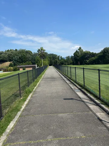 青空の下、伸びる一本道
