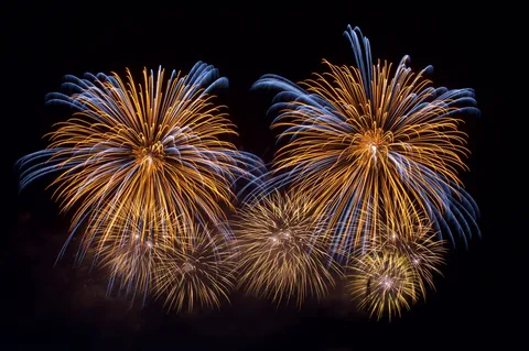 夜空に咲く花火の瞬間