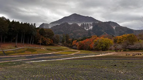 晩秋、山肌の模様と畑