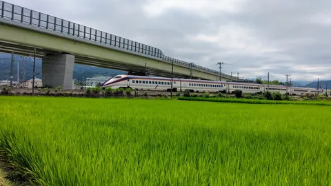 田園を駆ける新幹線と高架橋