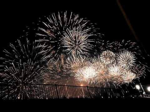 夜空を埋め尽くす光の華