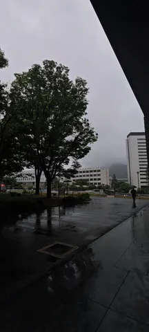 雨上がりのキャンパス風景