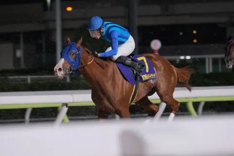 夜の競馬場を駆ける疾風
