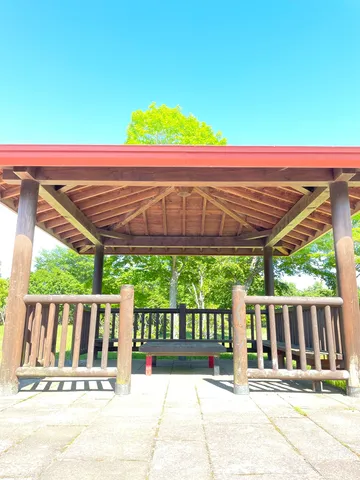 木漏れ日と木陰の庇