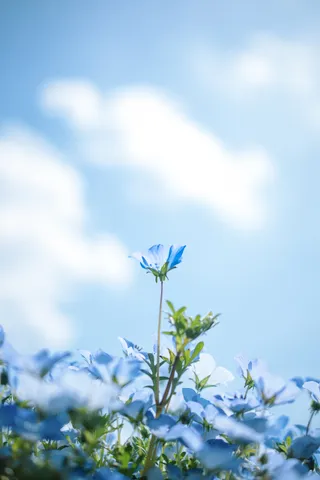 そらいろ