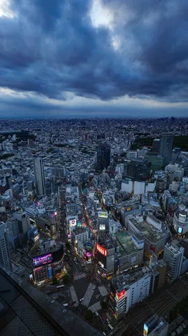 天空からの都市観察