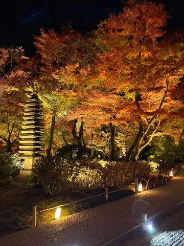 静寂の紅葉、灯りに浮かぶ塔
