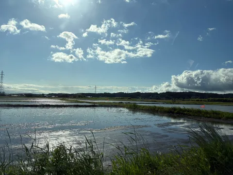 水鏡に映る空と雲