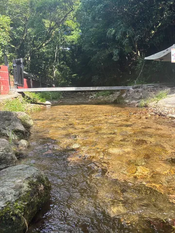 木陰の小さな渡し橋