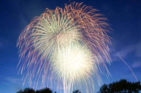 夜空に咲く大輪の花