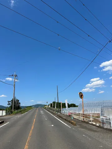 青空と続く道、夏の風物詩