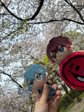 満開の桜とぬいぐるみ