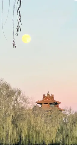 月と柳と古風の夕景