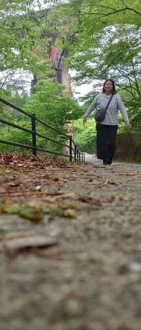 新緑のアーチを抜けて