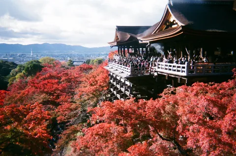 紅葉の舞台と眺望