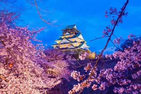 桜の波に浮かぶ城