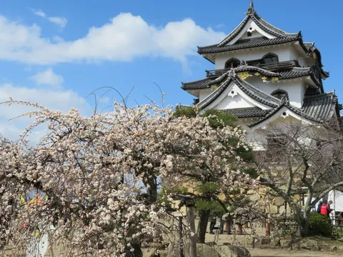 春霞と古城のコントラスト
