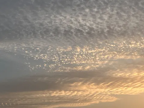 雲の海に映る淡い光