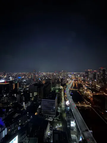 夜景と高架の光の川