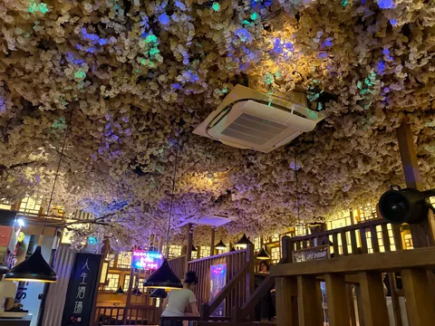 花と光の宙リビング