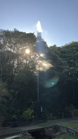 逆光にきらめく水しぶき