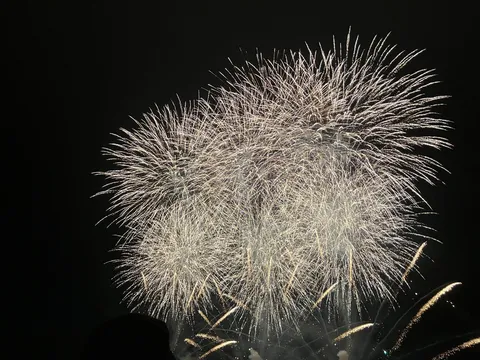 夜空に咲く白銀の華