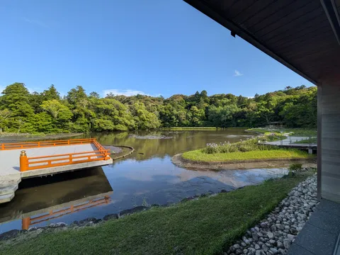 初夏を彩る、静寂の池辺