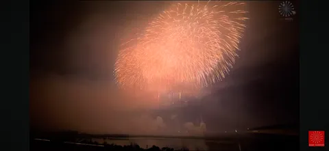 夜空を彩る、夢のような花火