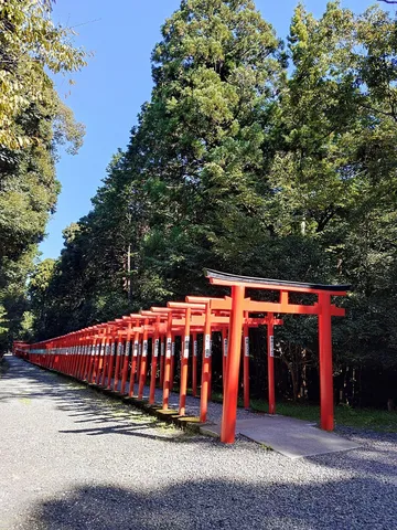 赤い鳥居の並ぶ小径