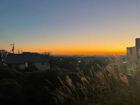 黄昏時の街並みとススキ