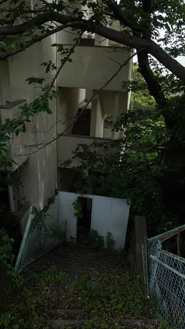 緑に包まれた朽ちた階段