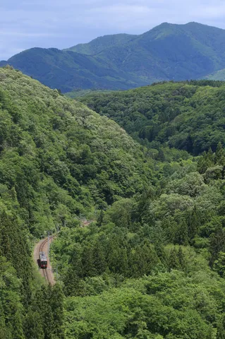 緑深き山道、旅する列車の詩