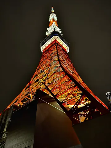 夜空を貫く鉄塔