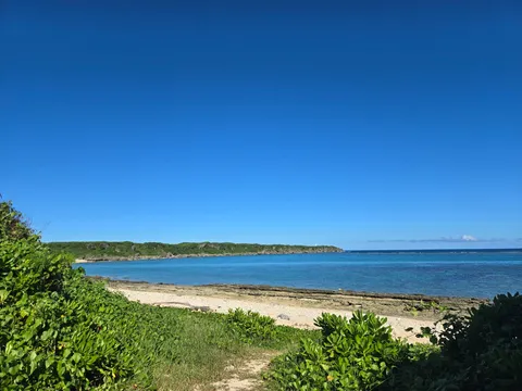 青い空と海、緑のコントラスト