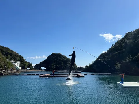 水面を駆ける一瞬