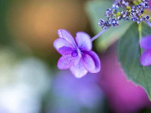 幻想的な青い小宇宙