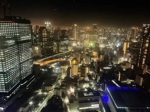 都市の灯が織りなす夜景