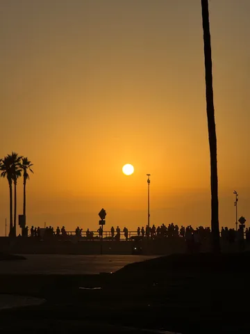 夕暮れ時のシルエットが織りなす光景