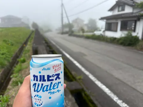 霧の中のカルピスウォーター