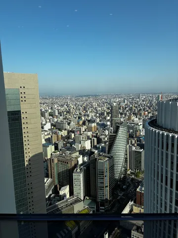 青空広がる大都市のパノラマ