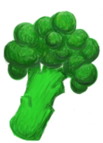 茎までおいしいブロッコリー