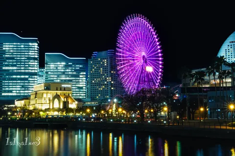 紫夜にほどける光の輪