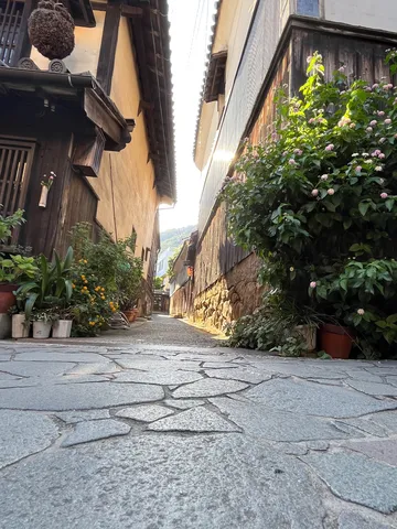 趣ある小道と木漏れ日