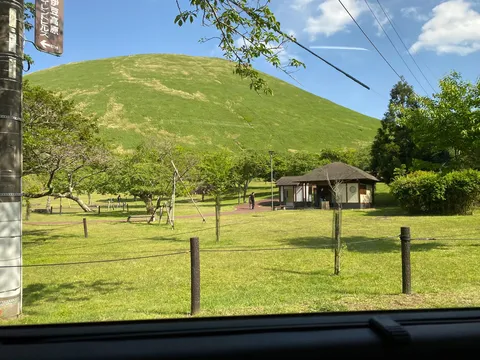 緑丘に佇む、穏やかな午後