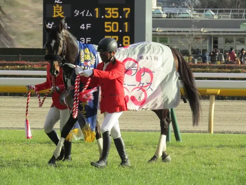 レースを終え、静かにターフを行く