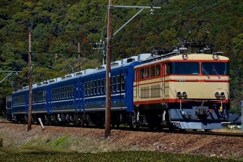 森と共鳴する鉄路の調べ