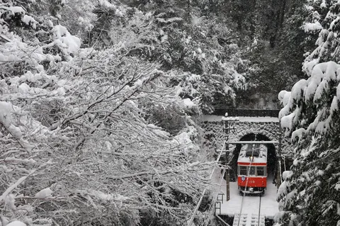 雪降る森と赤い列車