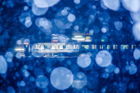 水玉パラダイスを駆け抜ける列車