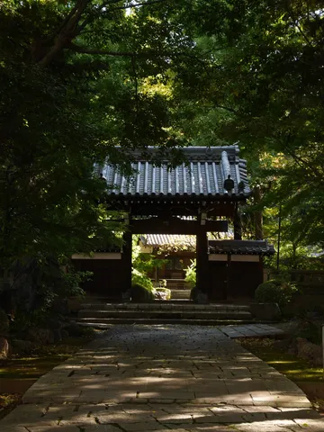 緑深き古刹への誘い